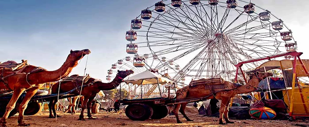 Discover the Fairs of Rajasthan: Pushkar Camel Fair 1 pushkar_camel_fair