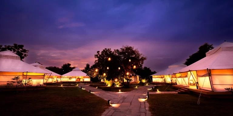 tadoba vanya vilas2