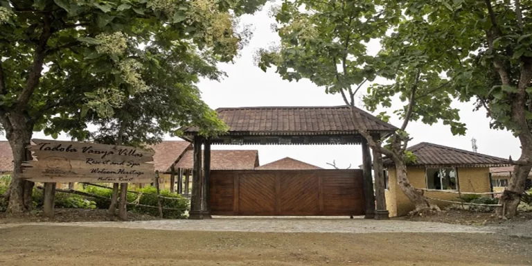 tadoba vanya vilas4