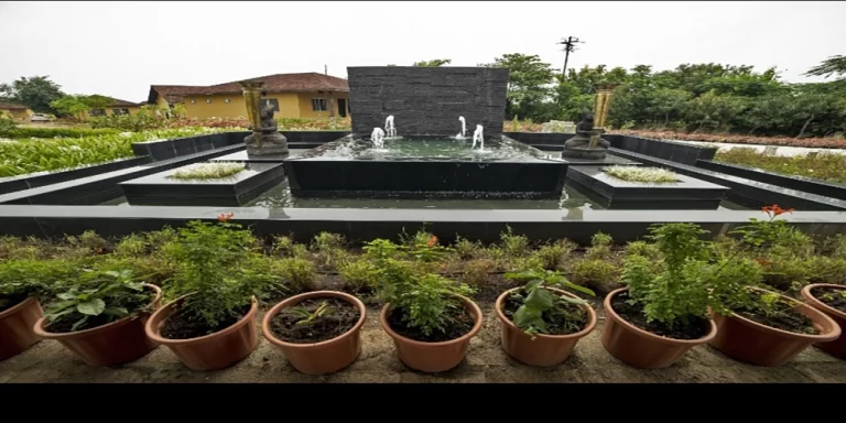 tadoba vanya vilas5