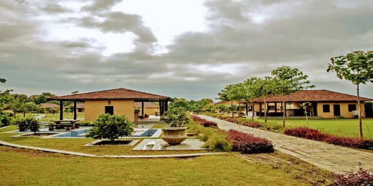 tadoba vanya vilas6