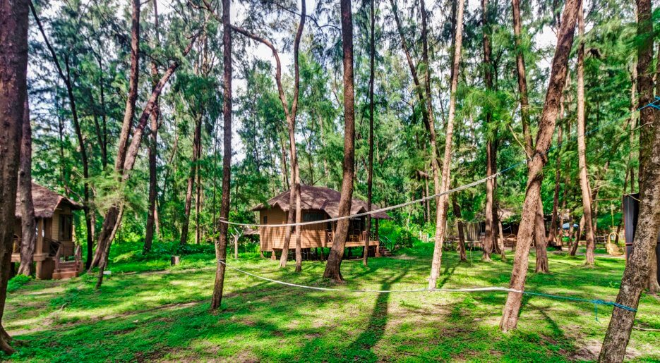 Nomad Tours - Buy Air Ticket Book Darshana 24 Devbagh Beach Resort Beach