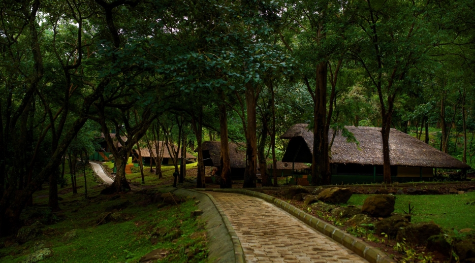 Nomad Tours - Buy Air Ticket Book Darshana 28 K Gudi Wilderness Camp