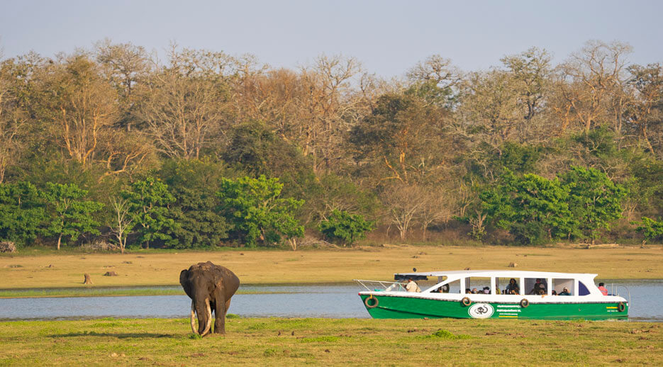 Nomad Tours - Buy Air Ticket Book Darshana 26 Kabini River Lodge1
